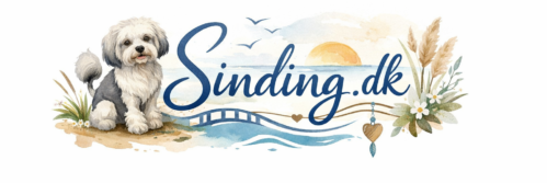 Logo for Sinding.dk